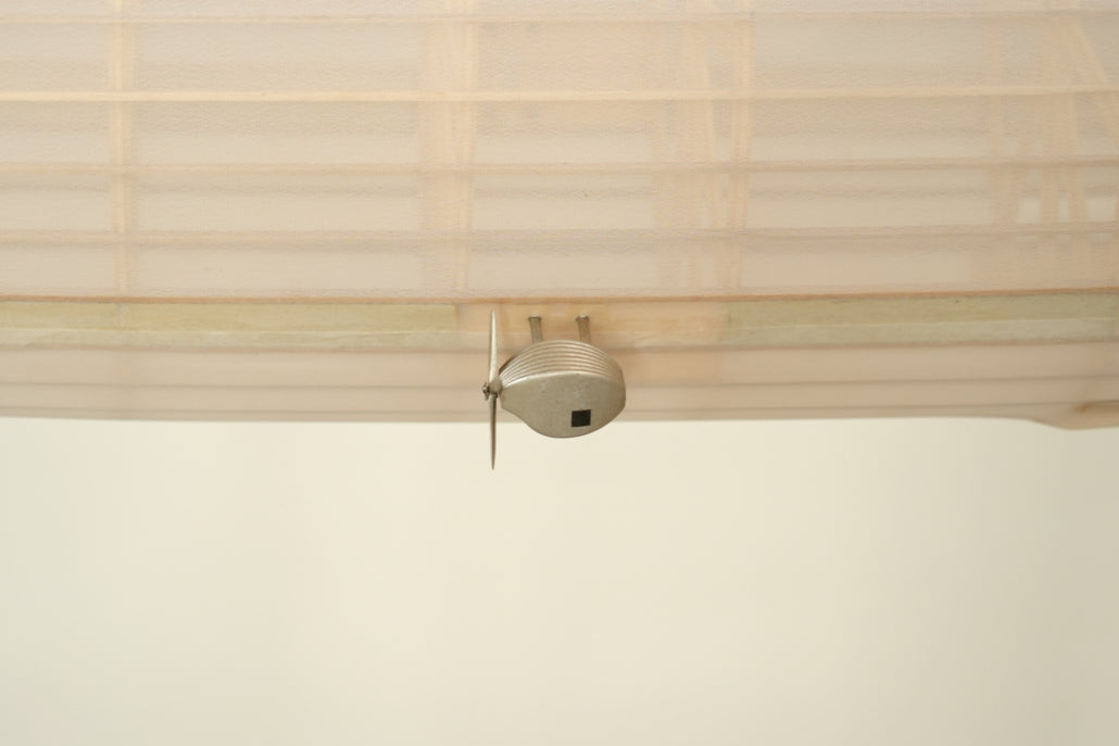 Stor Zeppelinare, Transparent